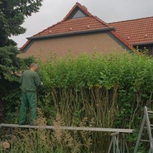 Grünflächen & Gehölzpflege