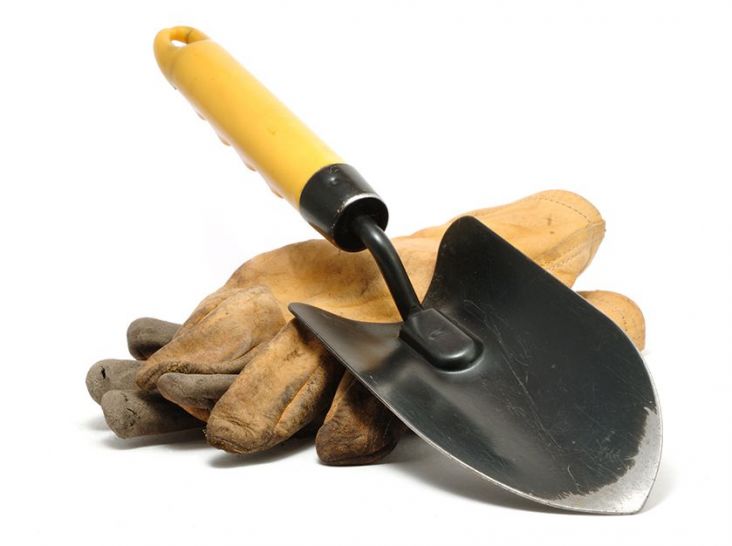 Garten- Landschaftsgestaltung