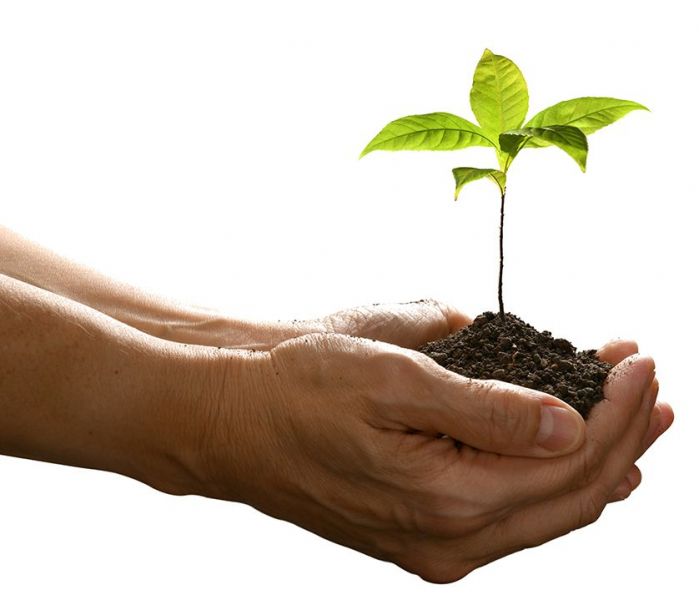 Garten- Landschaftsgestaltung